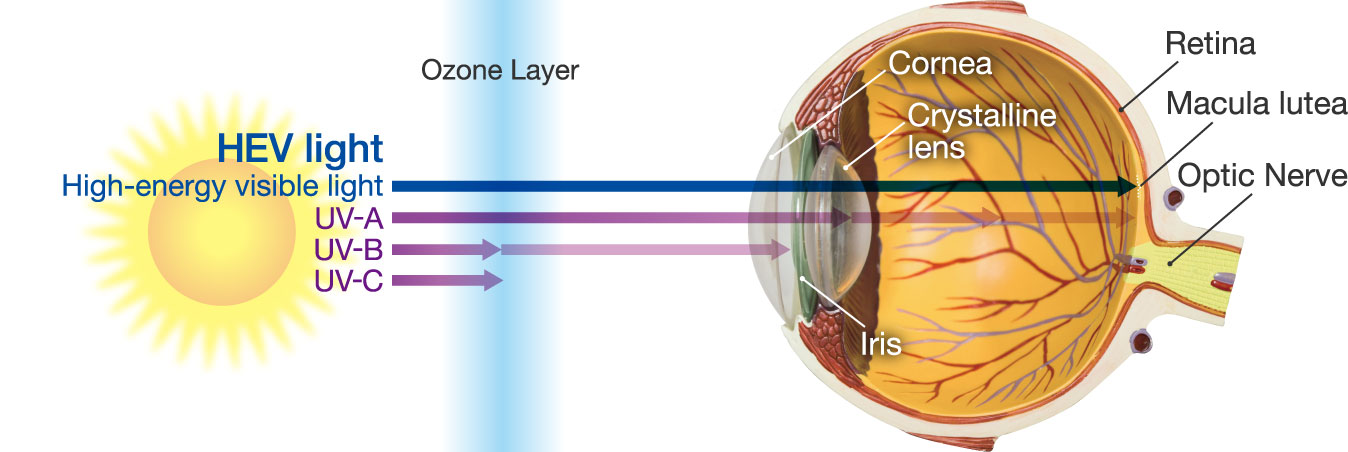 Why UV+420cut™? | lens technology | Mitsui Chemicals,