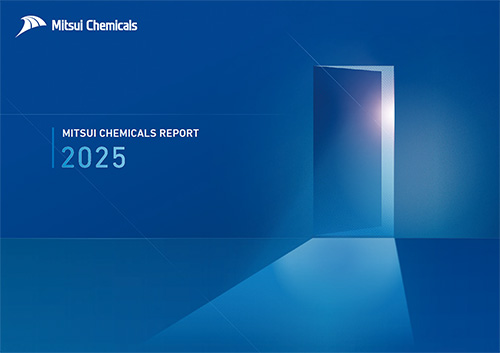 The front cover of the Report