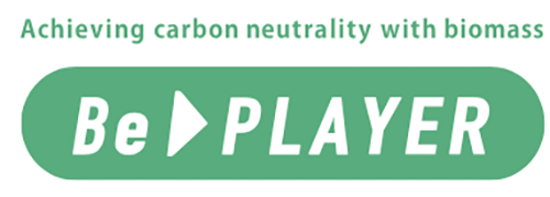 BePLAYER™