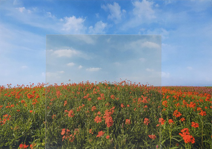 ファイアライト®