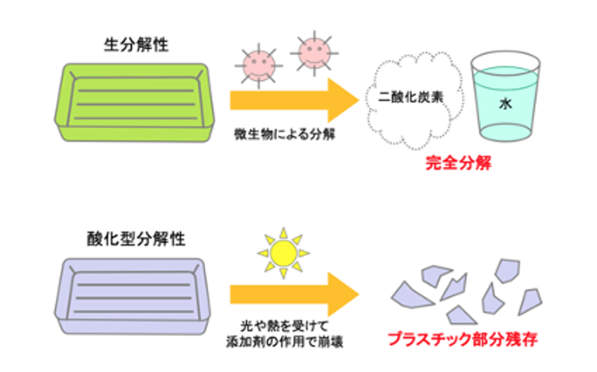 微生物による分解~ほかの分解との違い