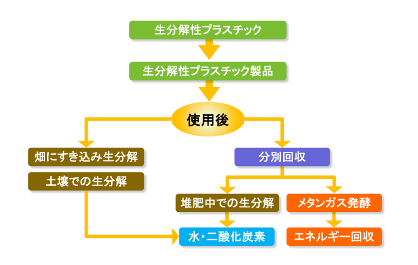 生分解性プラスチックのライフサイクル