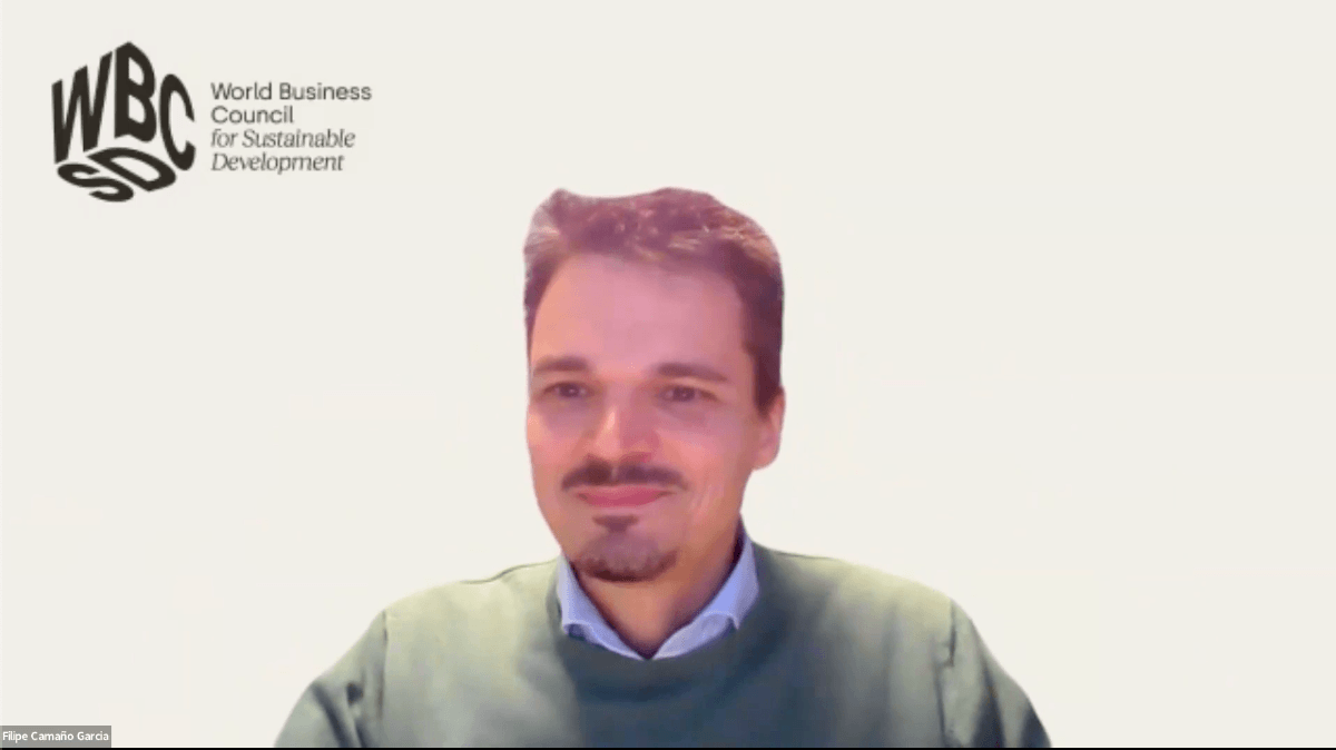 Filipe Camaño Garcia