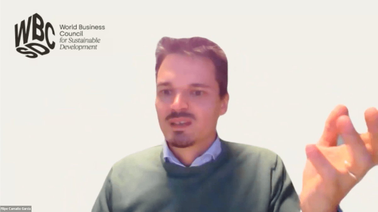 Filipe Camaño Garcia