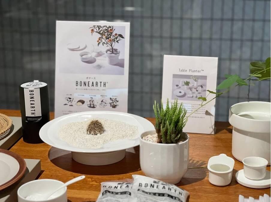 NIKKO SHOWROOMでのBONEARTHの展示