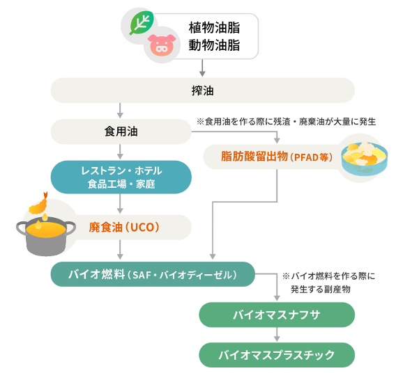 SAFとバイオナフサの関係