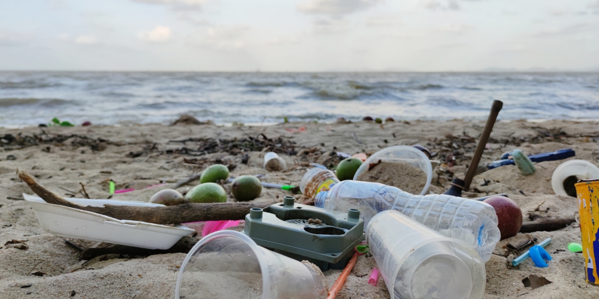 海洋プラスチックごみ