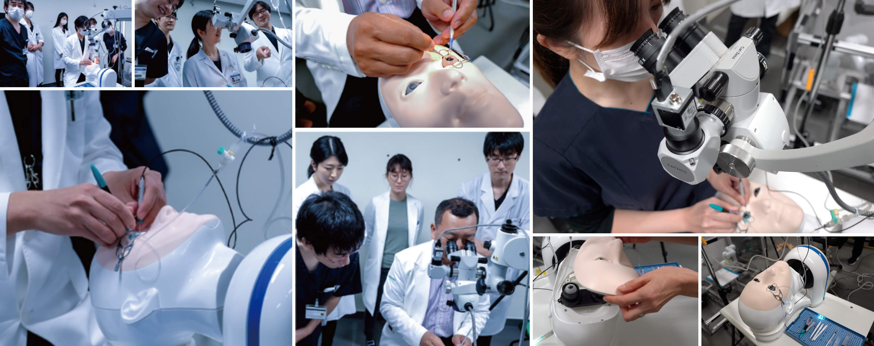 東京大学医学部 眼科学教室