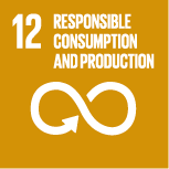 12 Responsible consumption, production